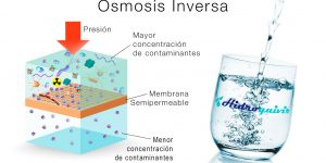 proceso osmosis